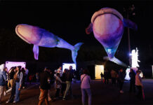 Brilha Sonhos: Parque Villa-Lobos traz experiência imersiva noturna