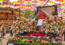 Expoflora 2026 inicia venda de ingressos com até 43% de desconto