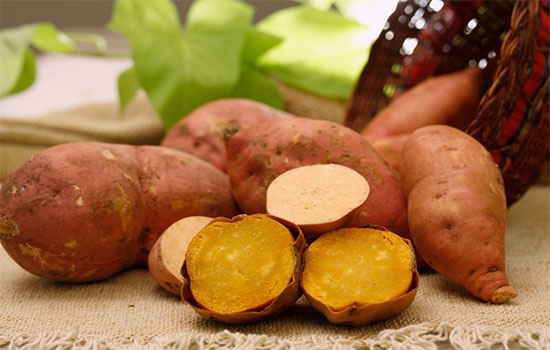 Batata-Doce-Prenda
