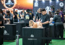 PET South America 2026 recebe a celebração de 10 anos do MasterGroom Brasil