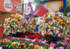 Expoflora 2026 resgata origens em uma homenagem à sua história