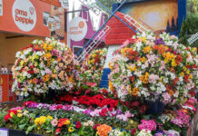 Expoflora 2026 resgata origens em uma homenagem à sua história
