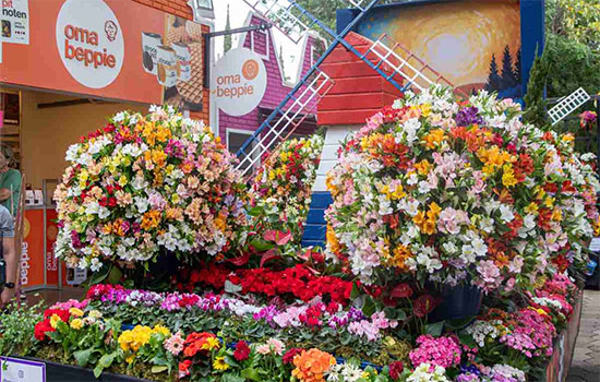 Expoflora-2025