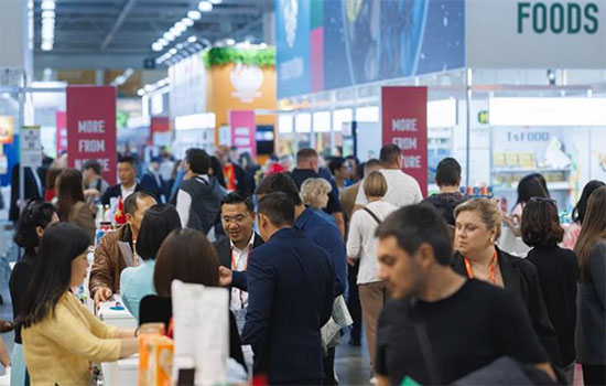 Feira----ITE-Group