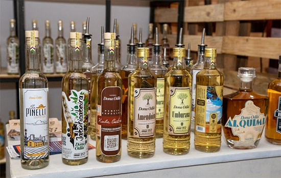 Expocachaca