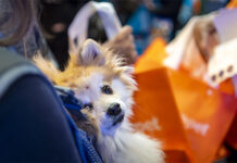 PET VET Expo 2026 define sua programação de conteúdo