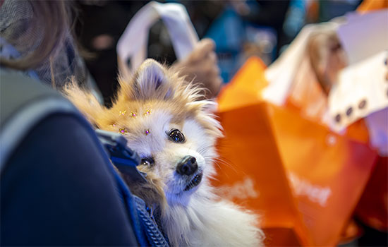 Pet-Vet-Expo-2025