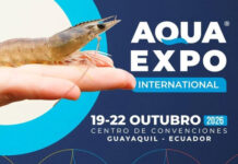 Brazilian Renderers leva ingredientes brasileiros à AquaExpo International 2026