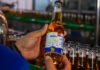 Oktoberfest Blumenau terá chope low carb e sem glúten da Cervejaria Blumenau