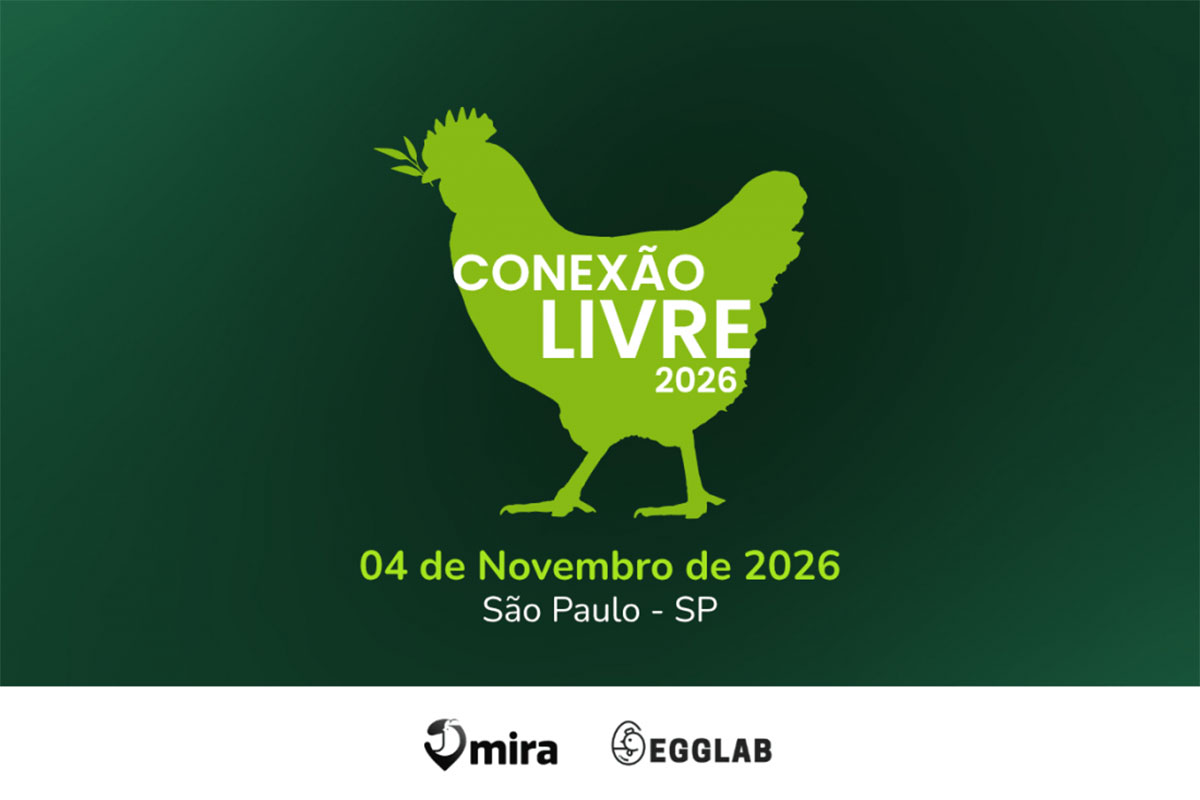 Conexão Livre 2026 discute a expansão de mercado dos ovos de galinhas livres
