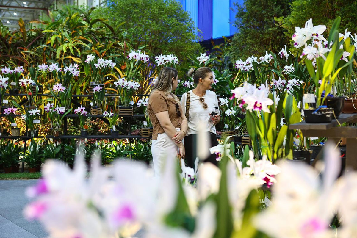 Festa das Flores de Joinville 2026 promete beleza, cores e experiências