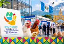 Brazilian Renderers confirma presença no OVUM 2026, na Guatemala