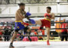 Mr. Olympia Brasil Expo recebe etapa do brasileiro de Wushu Sanda