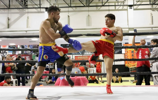 Wushu-Sanda